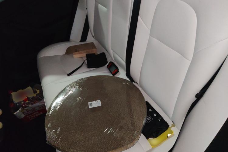 Used Tesla Model 3 2022 Rear-Wheel-Drive Version Left Rear Seat