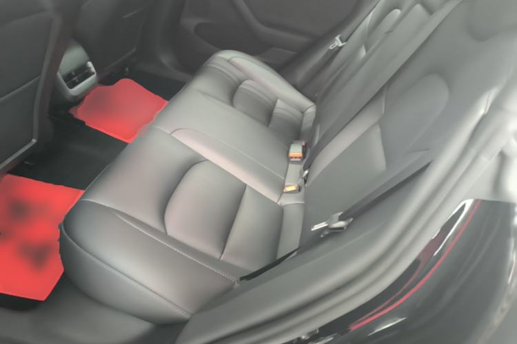 Used Tesla Model 3 2022 Rear-Wheel-Drive Version Left Rear Seat