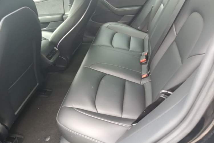 Used Tesla Model 3 2022 Rear-Wheel-Drive Version Left Rear Seat