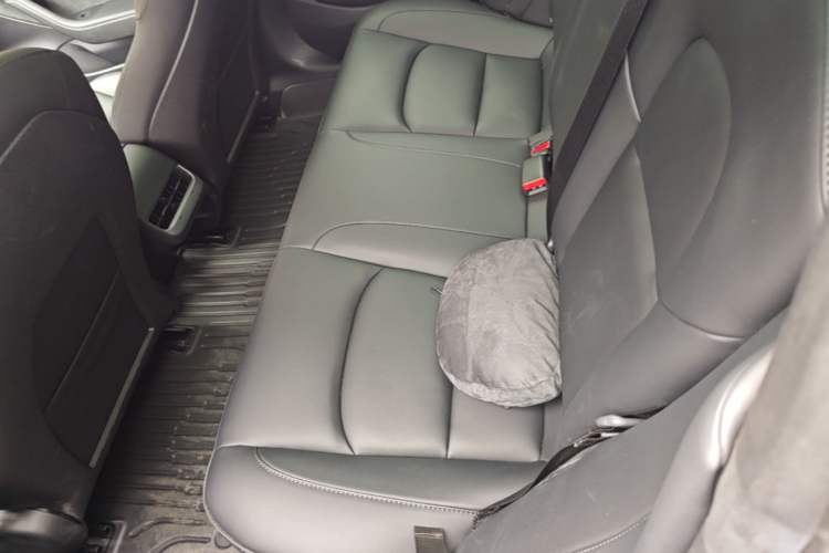 Used Tesla Model 3 2022 Rear-Wheel-Drive Version Left Rear Seat