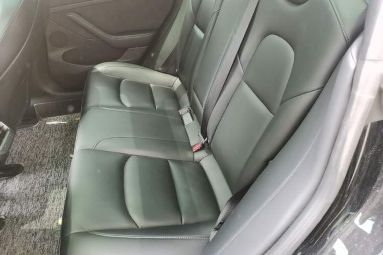 Used Tesla Model 3 2022 Rear-Wheel-Drive Version Left Rear Seat