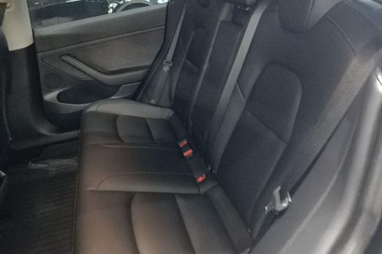 Used Tesla Model 3 2022 Rear-Wheel-Drive Version Left Rear Seat