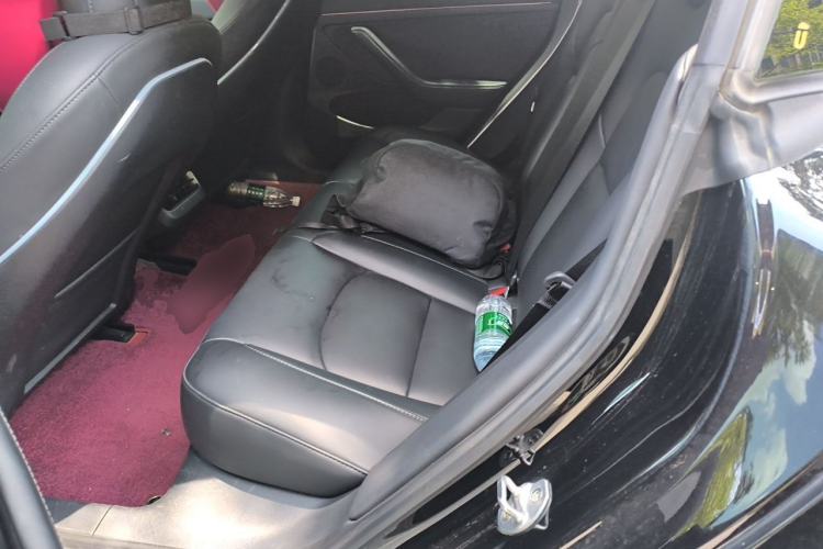 Used Tesla Model 3 2022 Performance High-Performance All-Wheel-Drive Version Left Rear Seat