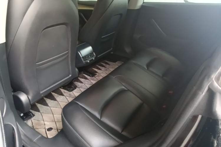 Used Tesla Model 3 2022 Rear-Wheel-Drive Version Left Rear Seat