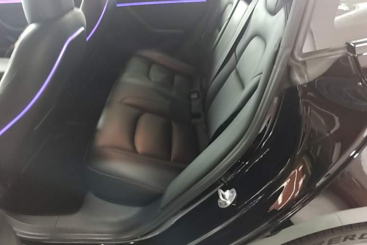 Used Tesla Model 3 2022 Performance High-Performance All-Wheel-Drive Version Left Rear Seat