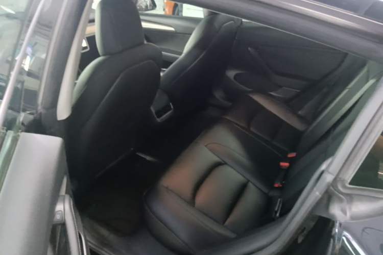 Used Tesla Model 3 2022 Rear-Wheel-Drive Version Left Rear Seat