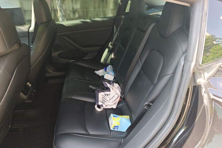 Used Tesla Model 3 2022 Rear-Wheel-Drive Version Left Rear Seat
