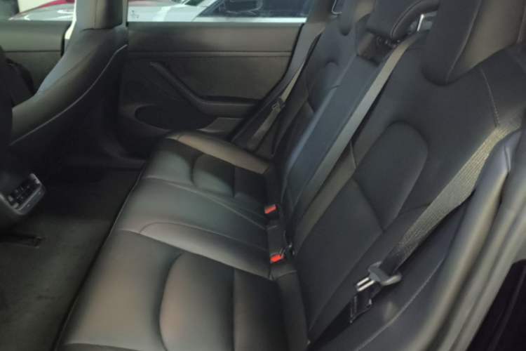 Used Tesla Model 3 2022 Rear-Wheel-Drive Version Left Rear Seat