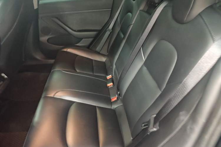 Used Tesla Model 3 2022 Rear-Wheel-Drive Version Left Rear Seat