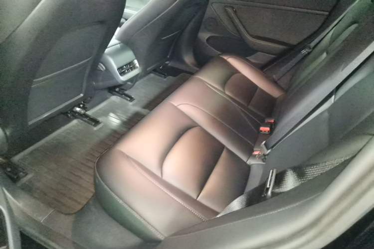 Used Tesla Model 3 2022 Rear-Wheel-Drive Version Left Rear Seat