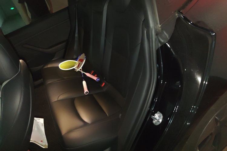 Used Tesla Model 3 2022 Rear-Wheel-Drive Version Left Rear Seat