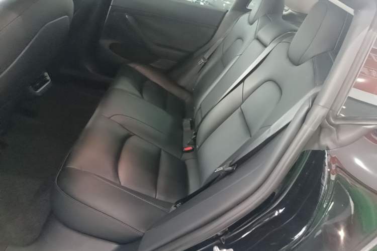 Used Tesla Model 3 2022 Rear-Wheel-Drive Version Left Rear Seat