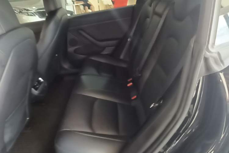 Used Tesla Model 3 2022 Rear-Wheel-Drive Version Left Rear Seat