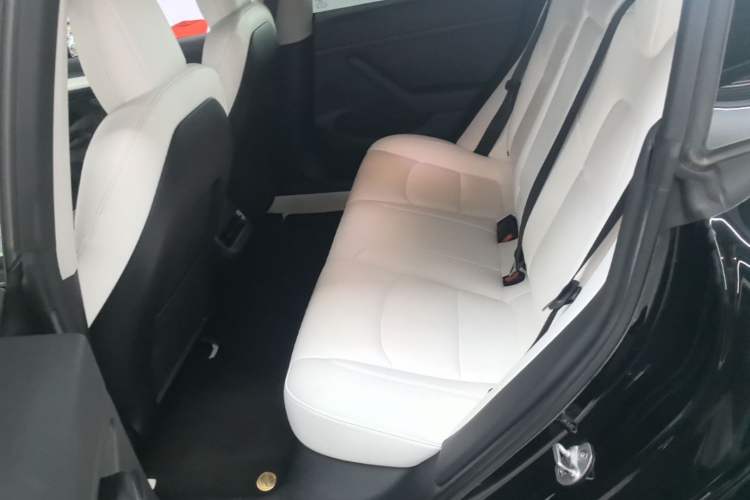 Used Tesla Model 3 2022 Rear-Wheel-Drive Version Left Rear Seat
