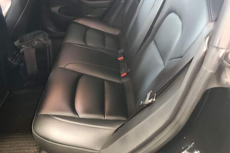 Used Tesla Model 3 2022 Rear-Wheel-Drive Version Left Rear Seat