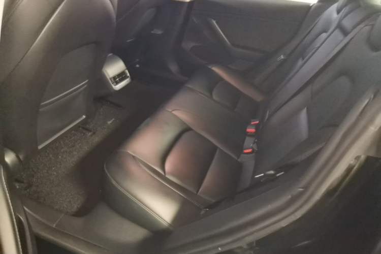 Used Tesla Model 3 2022 Rear-Wheel-Drive Version Left Rear Seat