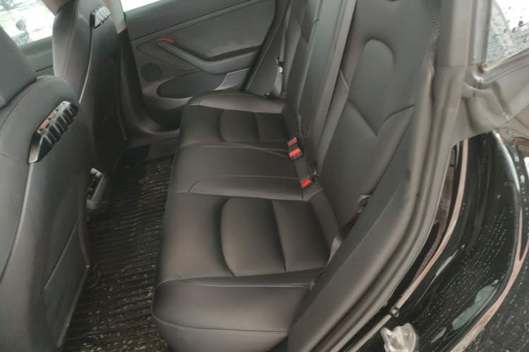 Used Tesla Model 3 2022 Rear-Wheel-Drive Version Left Rear Seat