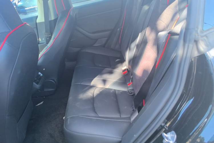 Used Tesla Model 3 2022 Rear-Wheel-Drive Version Left Rear Seat