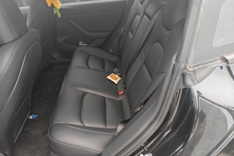 Used Tesla Model 3 2022 Rear-Wheel-Drive Version Left Rear Seat