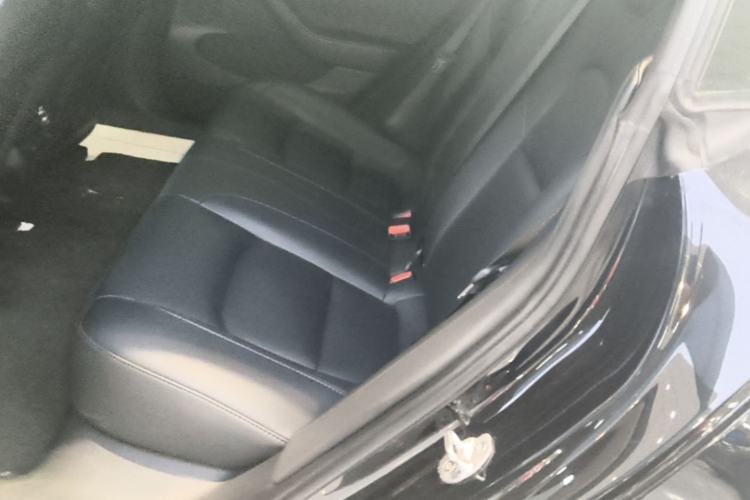 Used Tesla Model 3 2022 Rear-Wheel-Drive Version Left Rear Seat