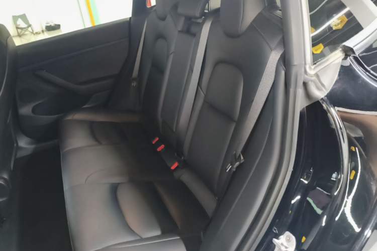 Used Tesla Model 3 2022 Rear-Wheel-Drive Version Left Rear Seat