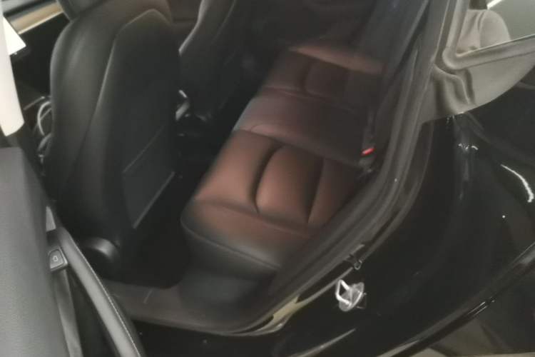 Used Tesla Model 3 2022 Rear-Wheel-Drive Version Left Rear Seat