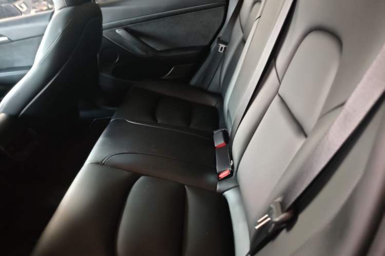 Used Tesla Model 3 2022 Rear-Wheel-Drive Version Left Rear Seat