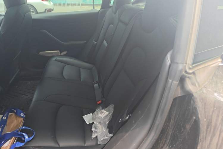 Used Tesla Model 3 2022 Performance High-Performance All-Wheel-Drive Version Left Rear Seat