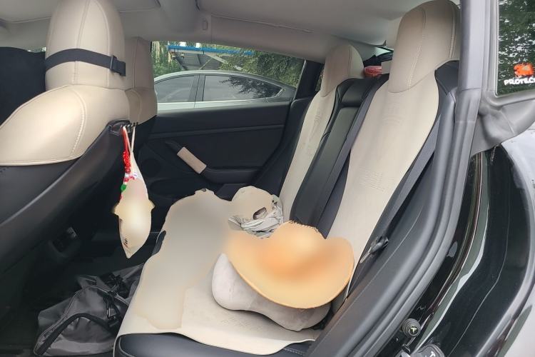 Used Tesla Model 3 2022 Rear-Wheel-Drive Version Left Rear Seat