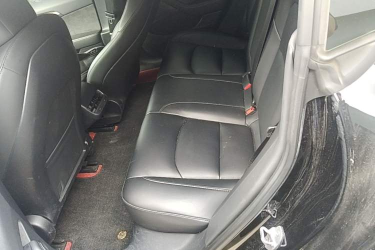 Used Tesla Model 3 2022 Rear-Wheel-Drive Version Left Rear Seat
