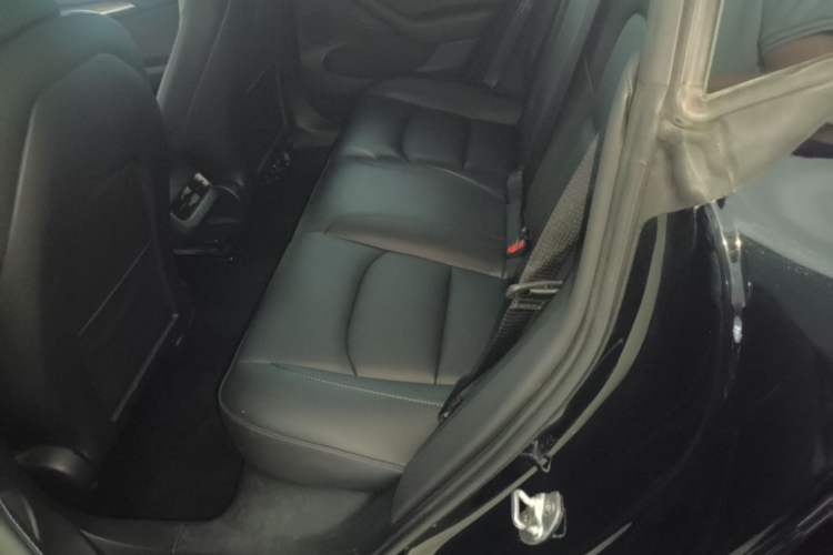 Used Tesla Model 3 2022 Rear-Wheel-Drive Version Left Rear Seat