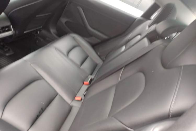Used Tesla Model 3 2022 Rear-Wheel-Drive Version Left Rear Seat