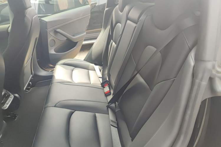 Used Tesla Model 3 2022 Rear-Wheel-Drive Version Left Rear Seat