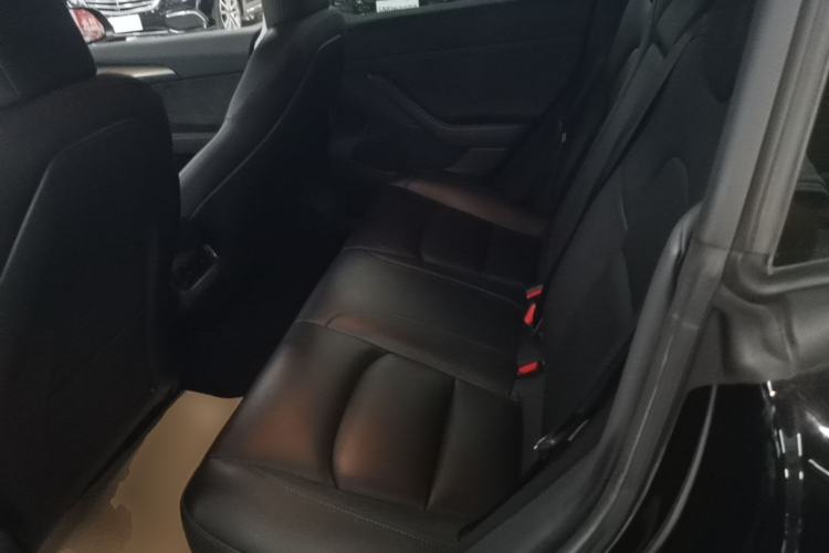 Used Tesla Model 3 2022 Rear-Wheel-Drive Version Left Rear Seat