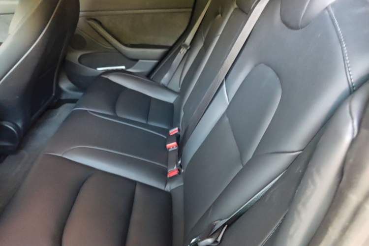 Used Tesla Model 3 2022 Rear-Wheel-Drive Version Left Rear Seat