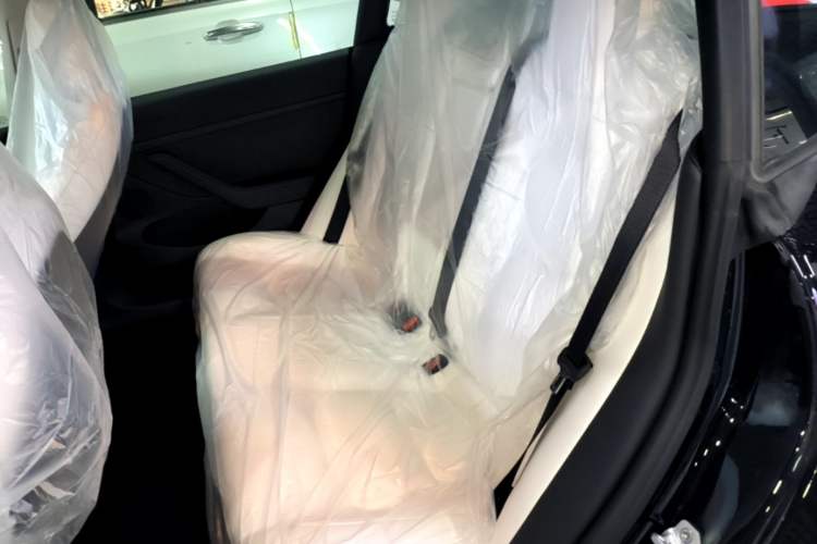 Used Tesla Model 3 2022 Rear-Wheel-Drive Version Left Rear Seat