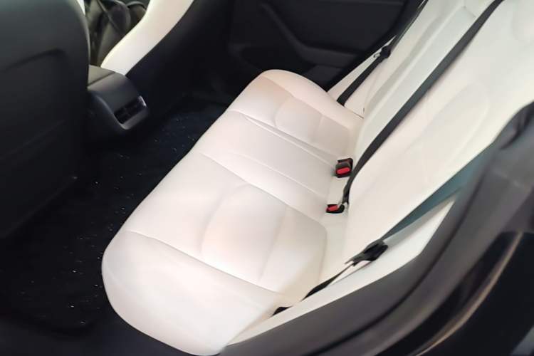 Used Tesla Model 3 2022 Rear-Wheel-Drive Version Left Rear Seat