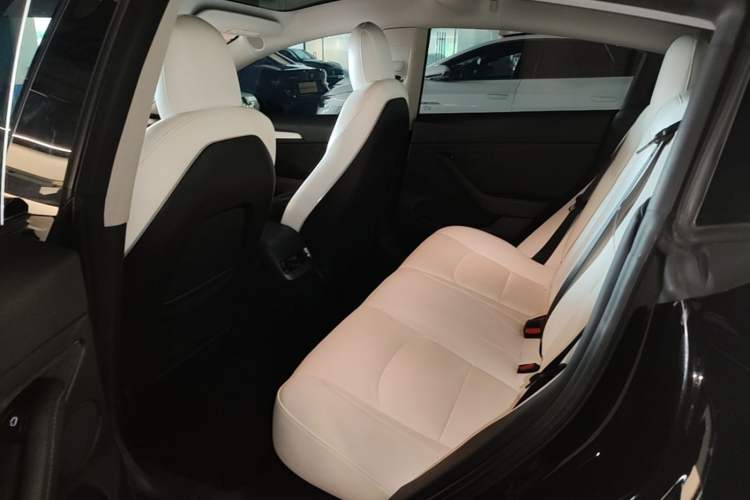 Used Tesla Model 3 2022 Performance High-Performance All-Wheel-Drive Version Left Rear Seat