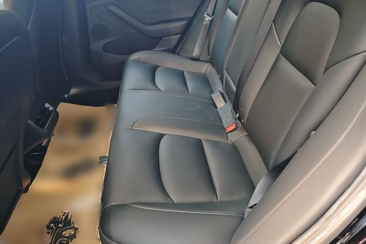 Used Tesla Model 3 2022 Rear-Wheel-Drive Version Left Rear Seat