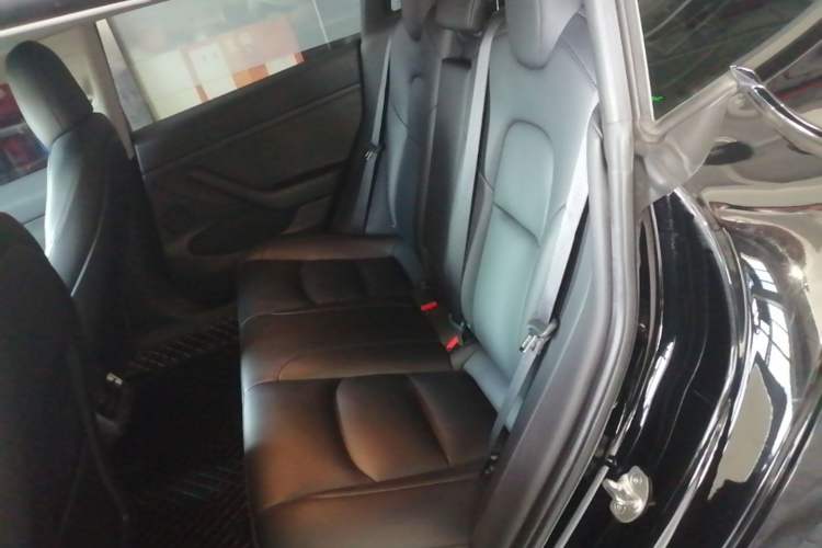 Used Tesla Model 3 2022 Rear-Wheel-Drive Version Left Rear Seat