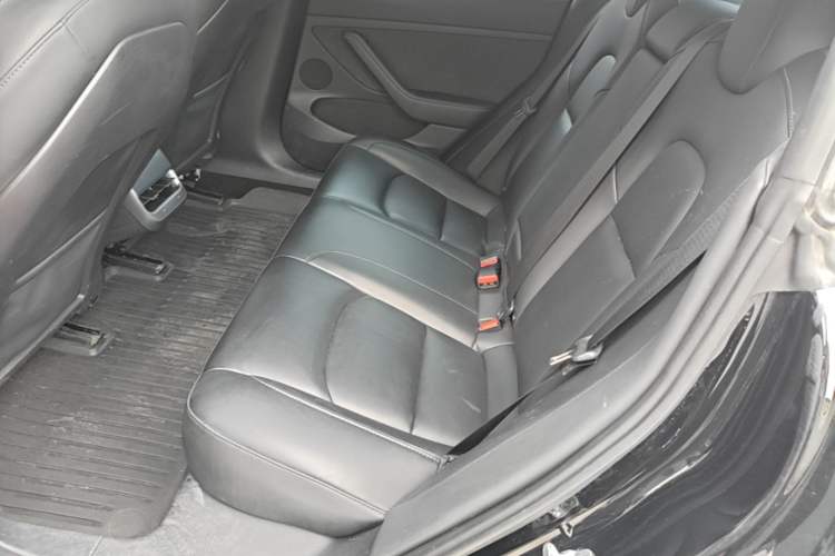 Used Tesla Model 3 2022 Rear-Wheel-Drive Version Left Rear Seat