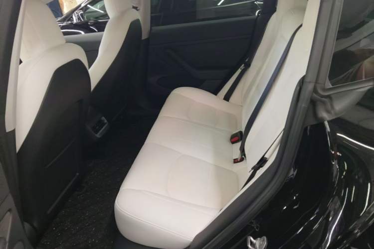 Used Tesla Model 3 2022 Rear-Wheel-Drive Version Left Rear Seat
