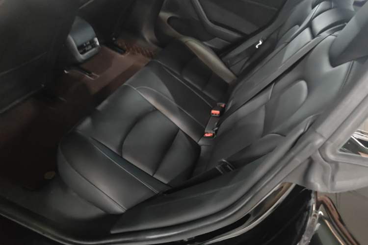 Used Tesla Model 3 2022 Rear-Wheel-Drive Version Left Rear Seat