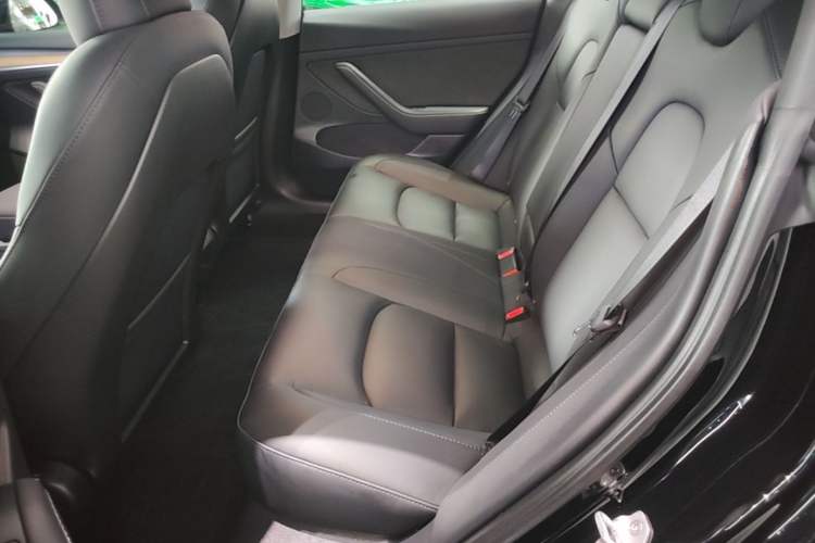 Used Tesla Model 3 2022 Performance High-Performance All-Wheel-Drive Version Left Rear Seat