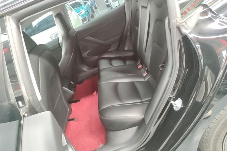 Used Tesla Model 3 2022 Rear-Wheel-Drive Version Left Rear Seat