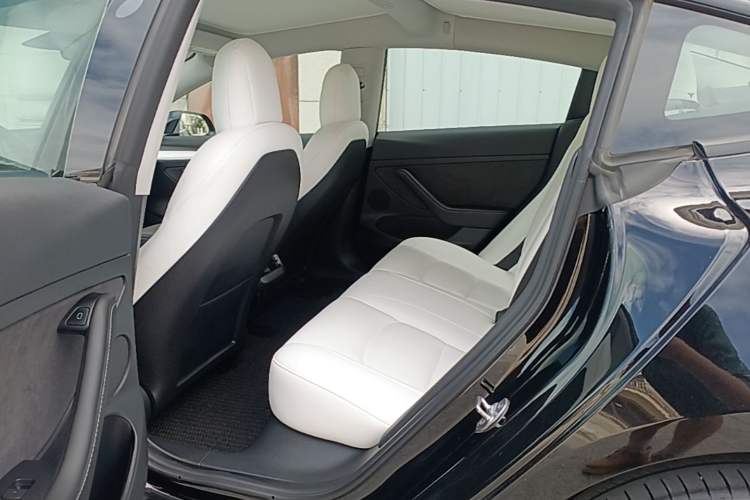 Used Tesla Model 3 2022 Rear-Wheel-Drive Version Left Rear Seat