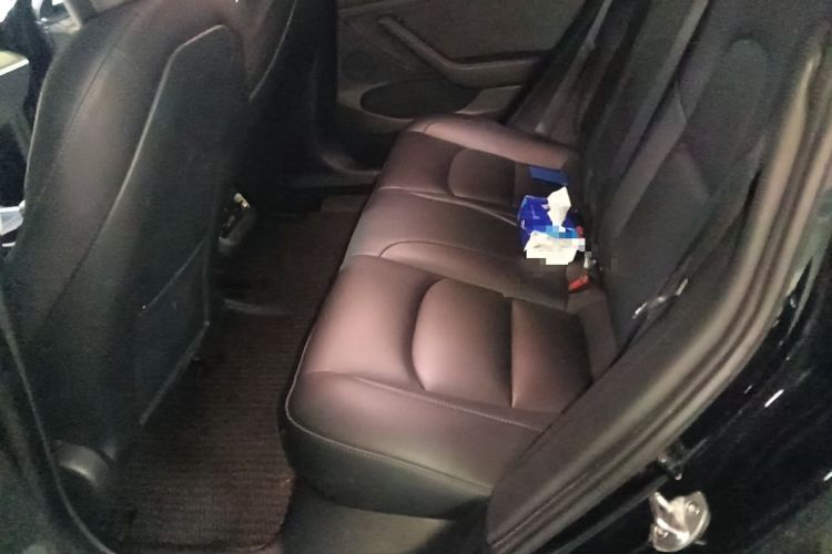 Used Tesla Model 3 2022 Rear-Wheel-Drive Version Left Rear Seat