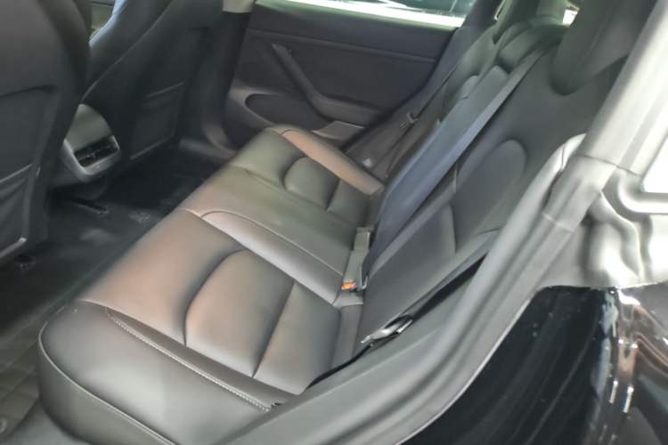 Used Tesla Model 3 2022 Rear-Wheel-Drive Version Left Rear Seat