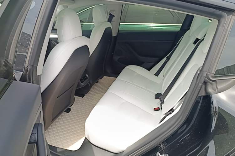 Used Tesla Model 3 2022 Performance High-Performance All-Wheel-Drive Version Left Rear Seat