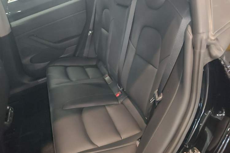 Used Tesla Model 3 2022 Rear-Wheel-Drive Version Left Rear Seat